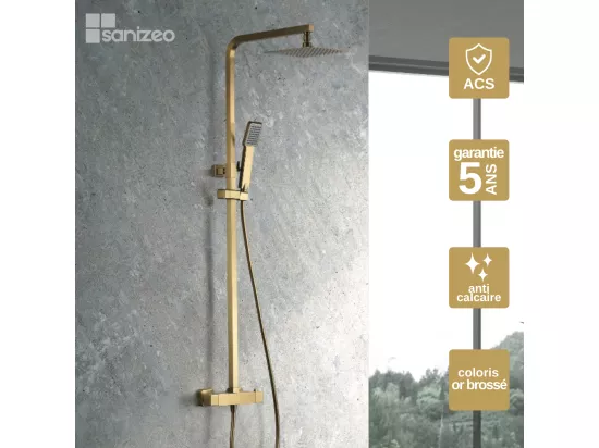 Colonne de Douche Thermostatique Anti-Calcaire Or Brossé VIGO BTV013/OC
