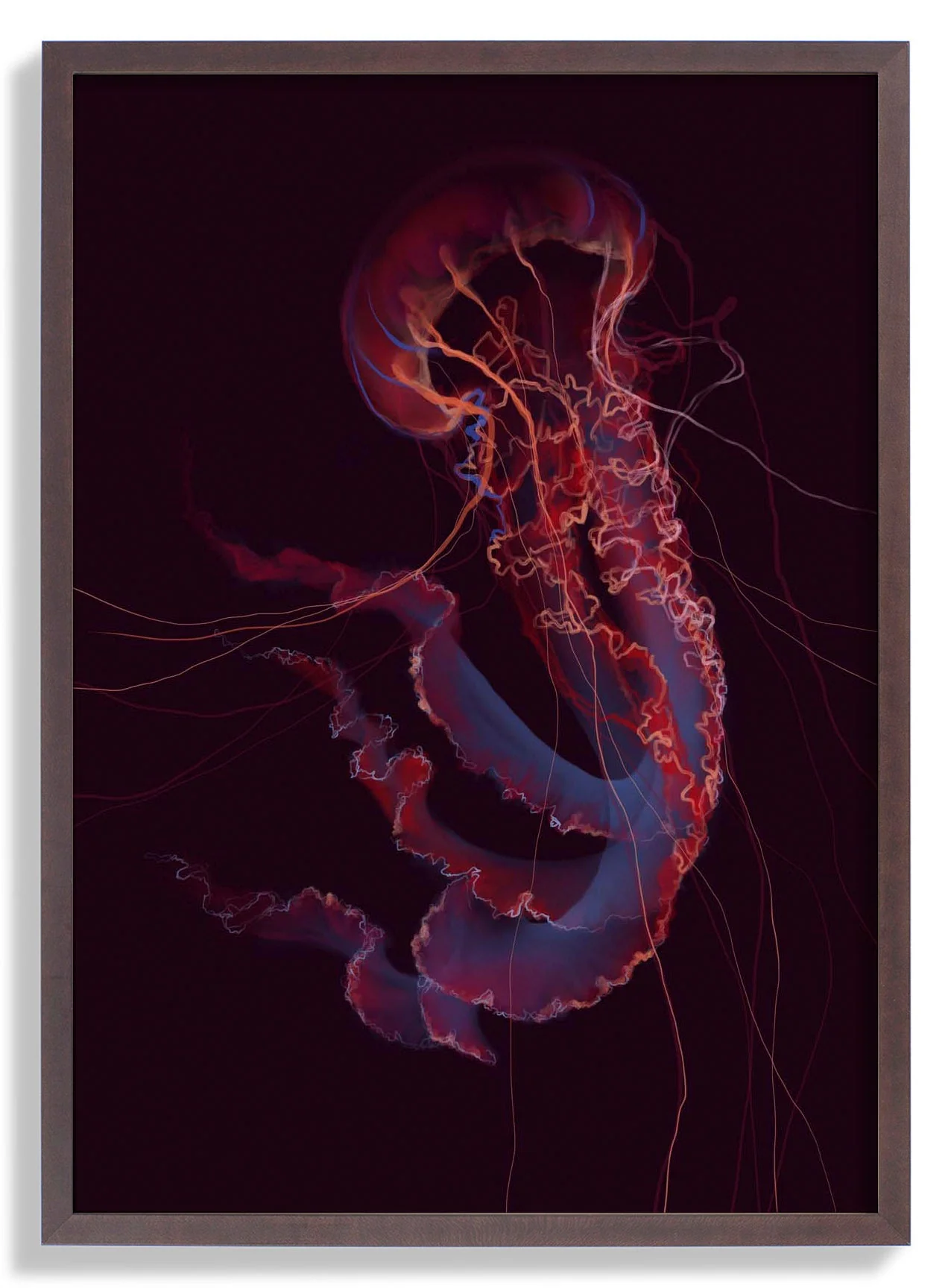 Red Phenomena Jellyfish von Julia Charlott