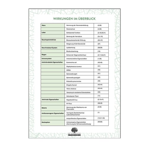 Sunday Natural Products  Chanca Piedra - Ein Urwaldkraut gegen Nierensteine