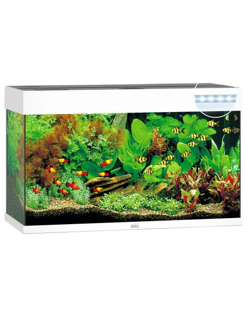 Juwel Aquarium Rio 125 Led 80x35x50 cm - Aquaria