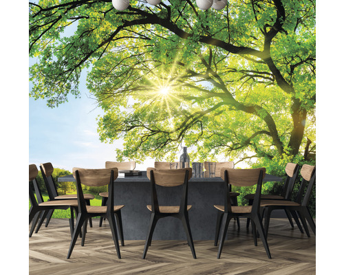 Vliesbehang HRBP000081 Boom met zonnestralen 5-delige set 243 x 184 cm