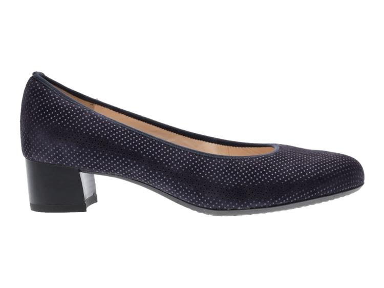 Ara 12-16601 midnight