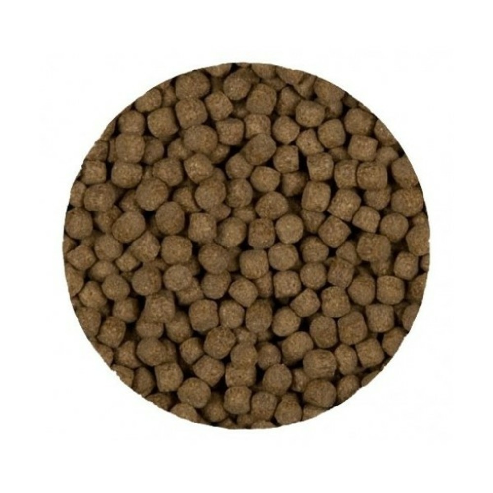 Sanikoi staple prime 6mm 7.6kg (20l)