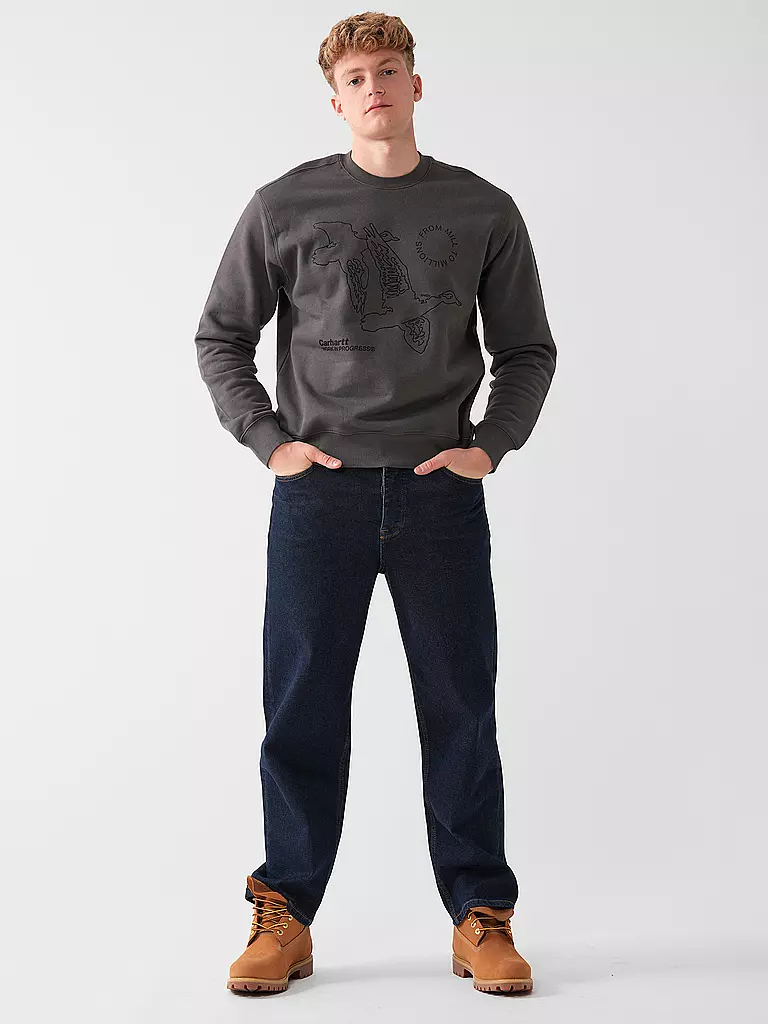 CARHARTT WIP Sweater grau