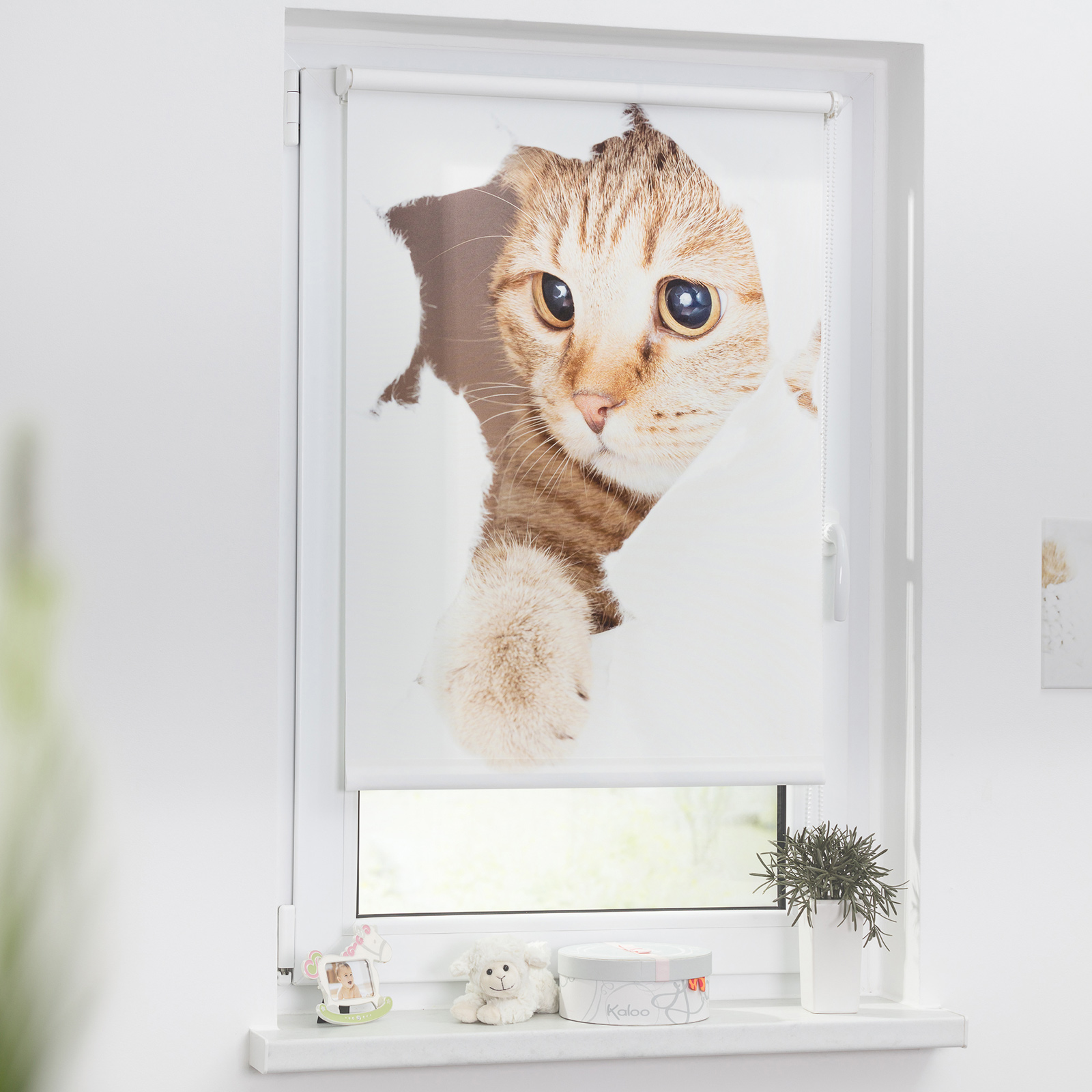 LICHTBLICK Verdunklungsrollo Katze - weiß-braun - 45x150 cm