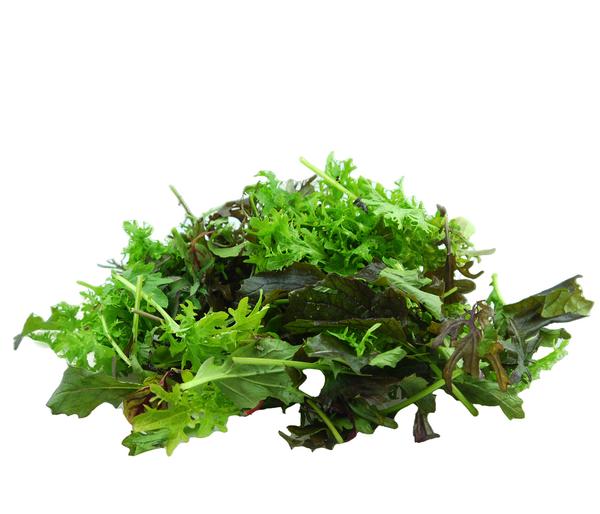 Bio Asia Wildkräuter im Pottburri®-Topf