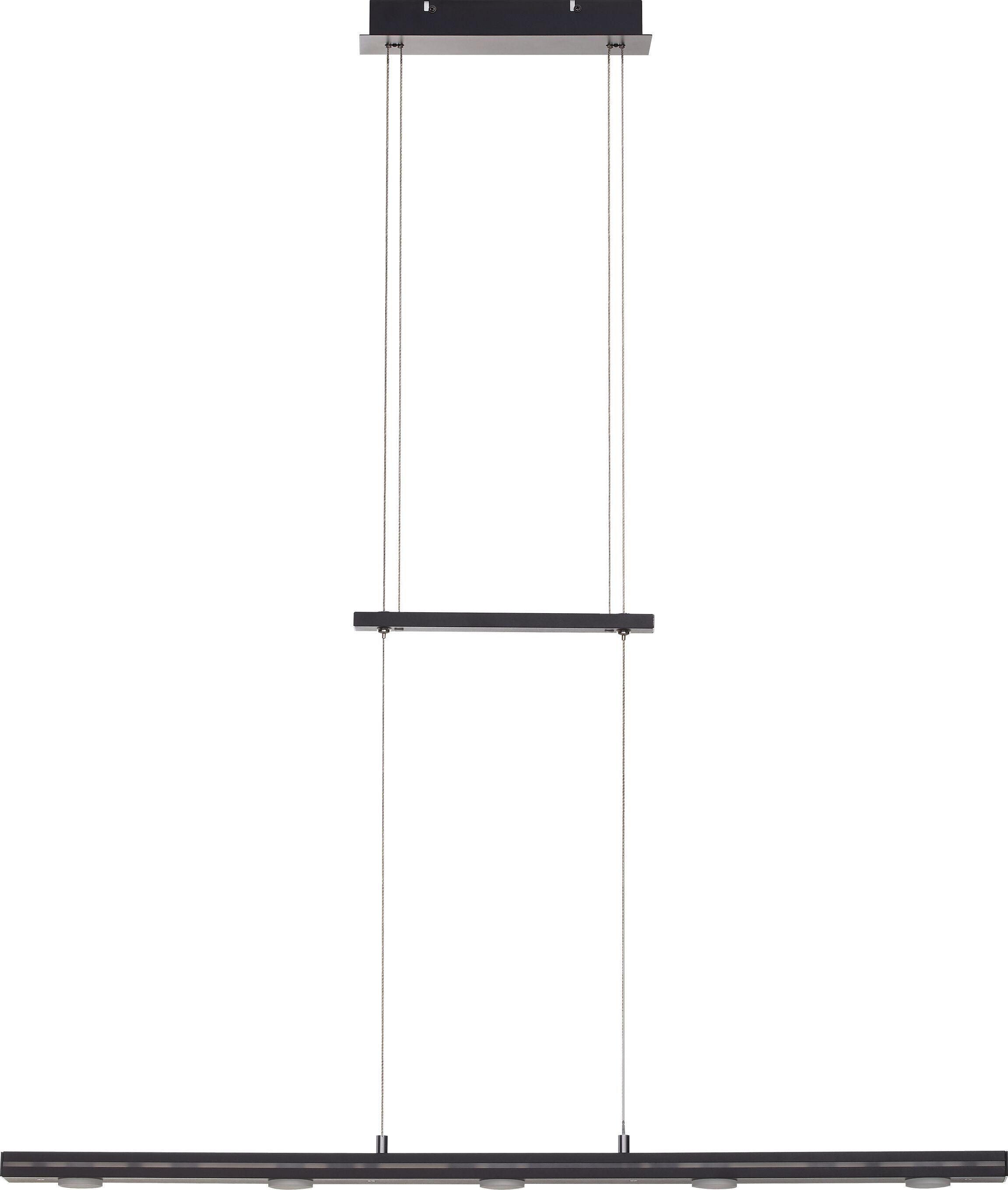 LACAL Hängeleuchte - Schwarz / B: 100.0 cm x T: 8.0 cm x H: 160.0 cm