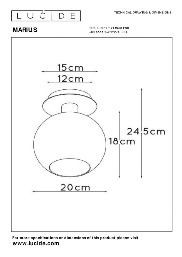 Marius 1 plafondlamp Ã20 zwart