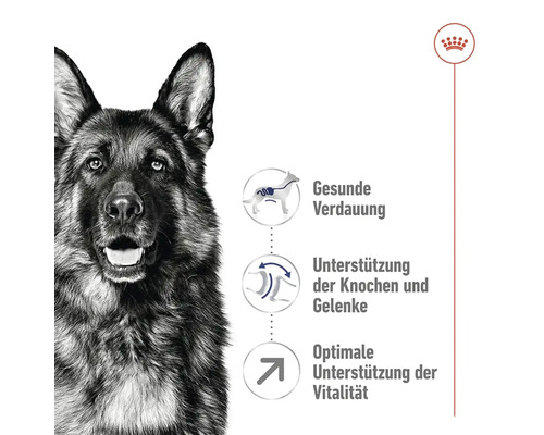 ROYAL CANIN Maxi Adult +5 droog hondenvoer, 15 kg