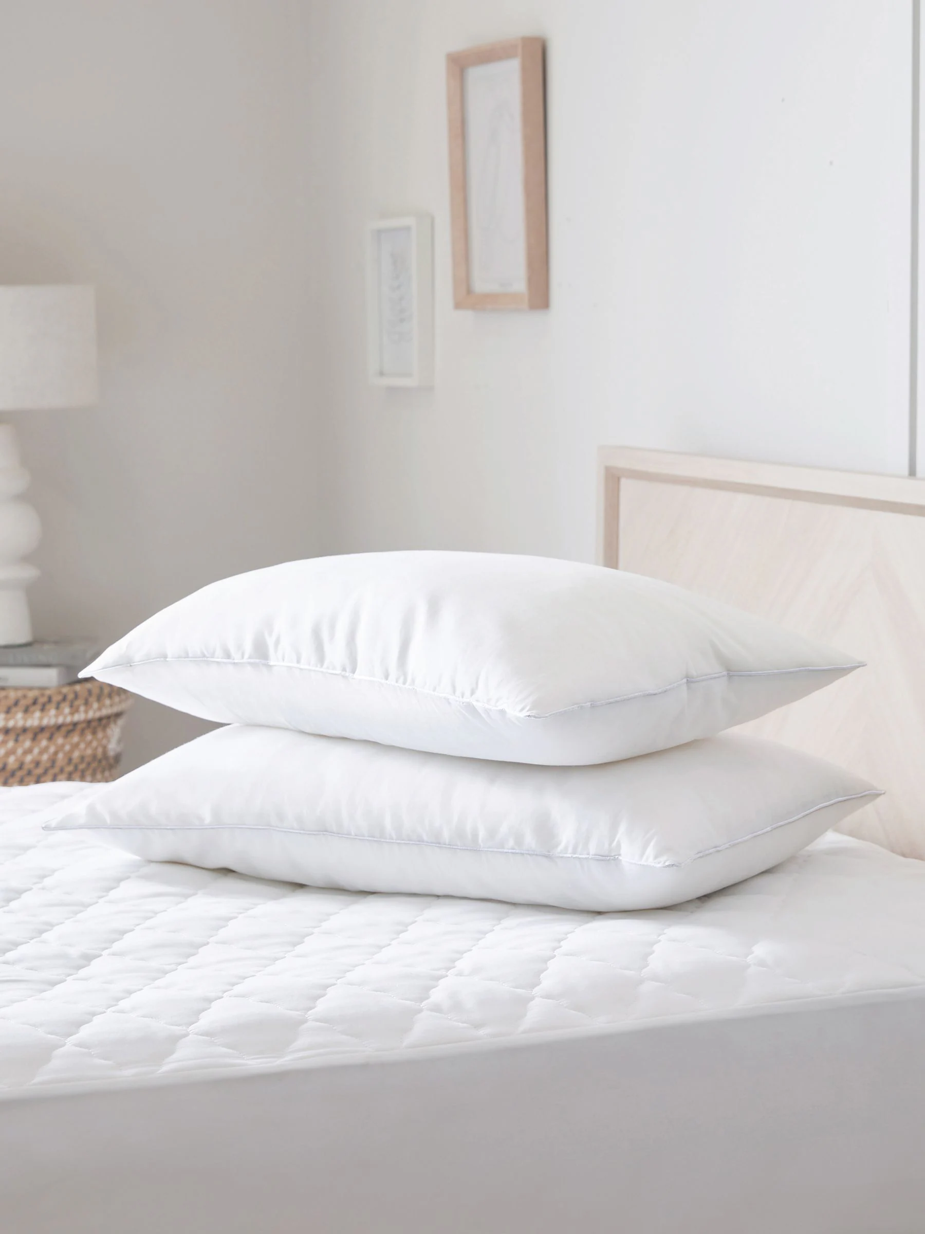 Set van 2 Sleep In Silk kussens van 100% katoen
