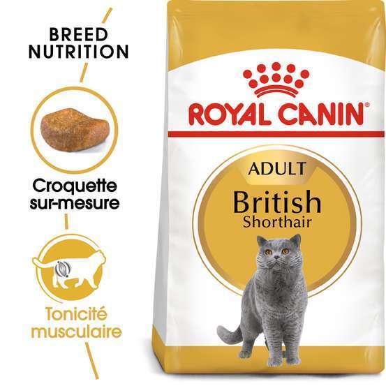 Croquettes chat British ShortHair Adulte + de 12 mois 2kg