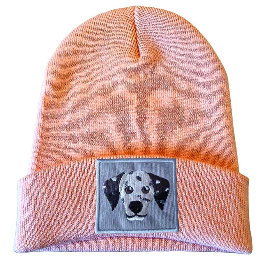CHAPÉU DE CÃO DÁLMATA