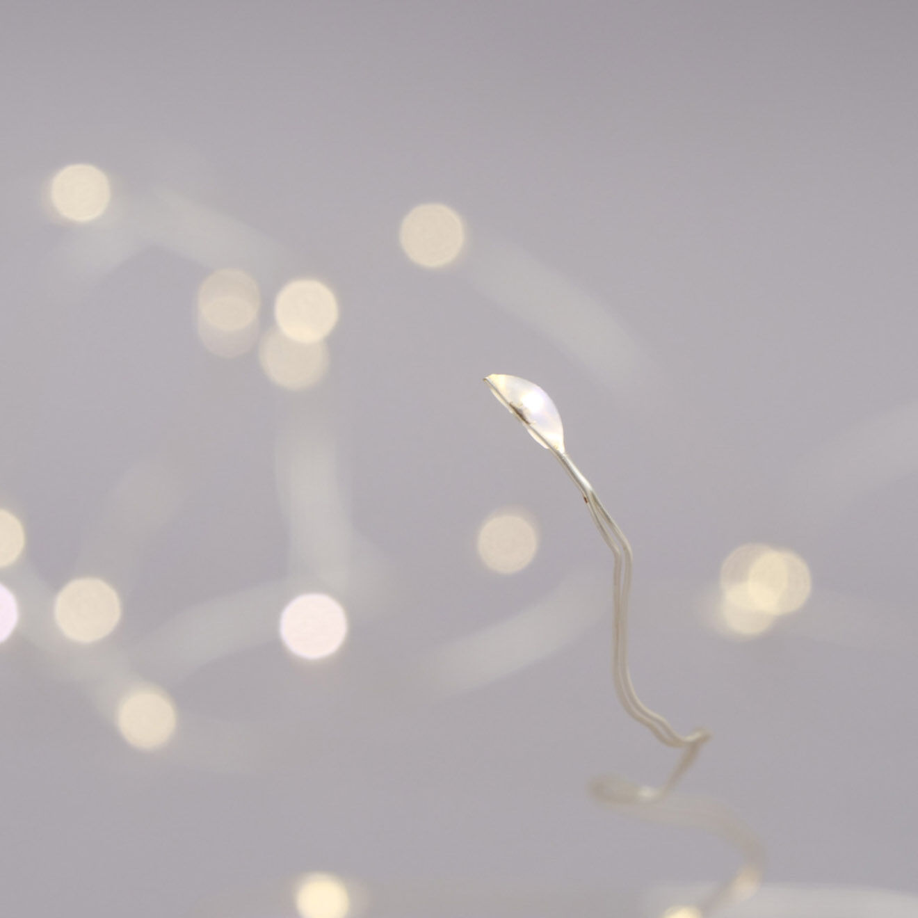 Boltze Guirlandes lumineuses Micro 20 LED argentée