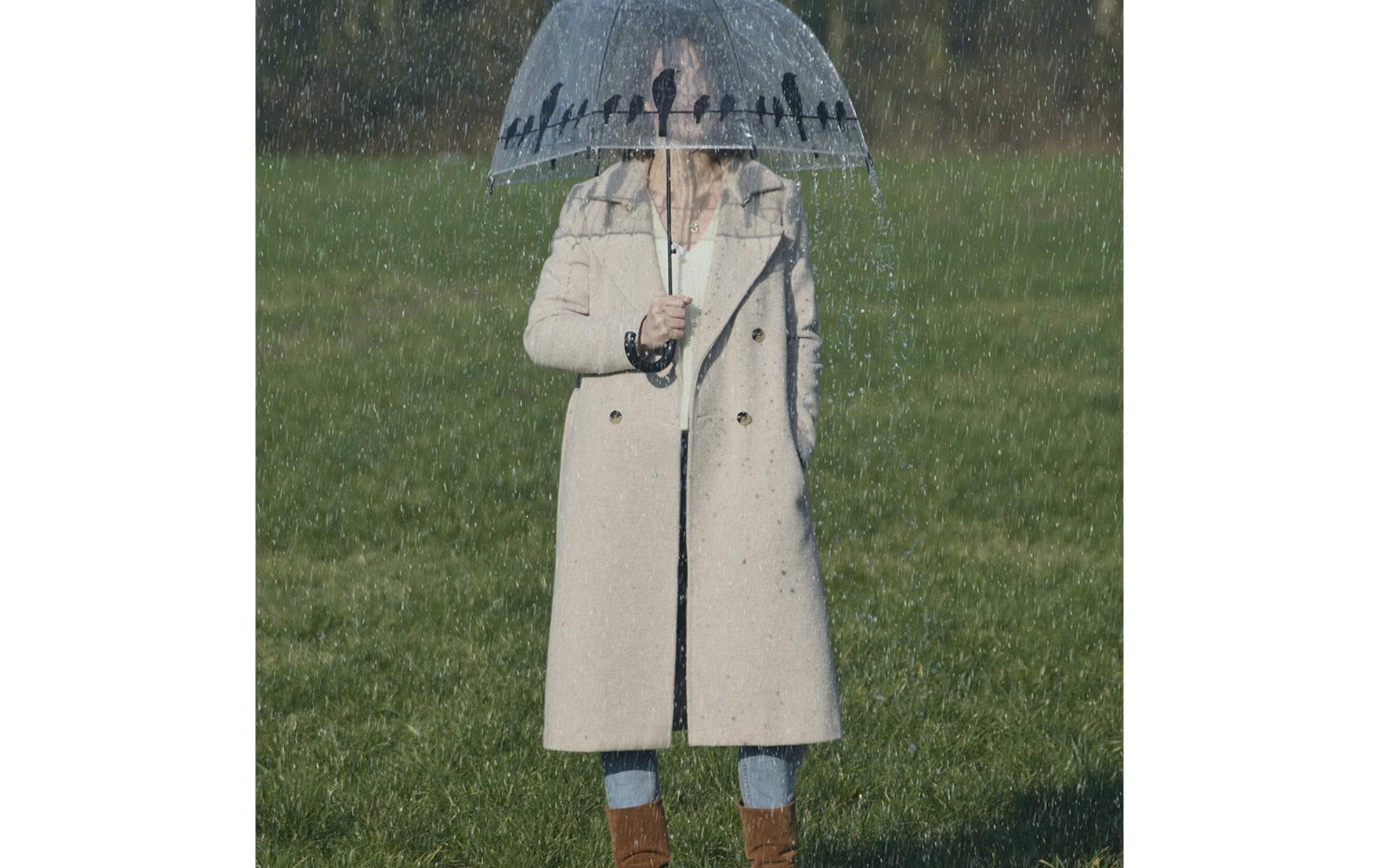 Schirm Vögel auf Draht Schwarz/TransparentTransparenter Regenschirm