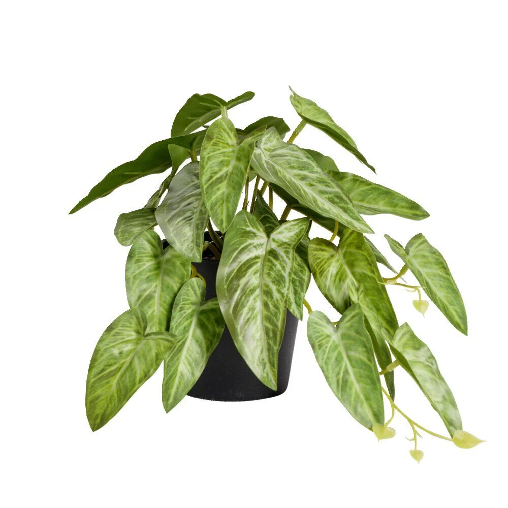 Plante verte artificielle pot noir H17cm - 2 modèles