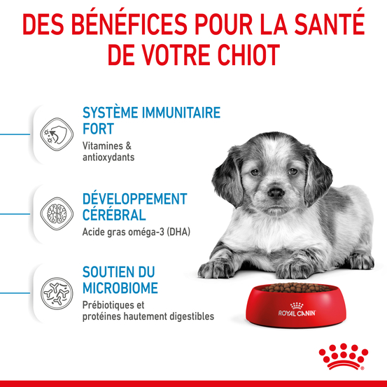 Croquettes chiot moyen Puppy Medium de 2 à 12 mois 15kg