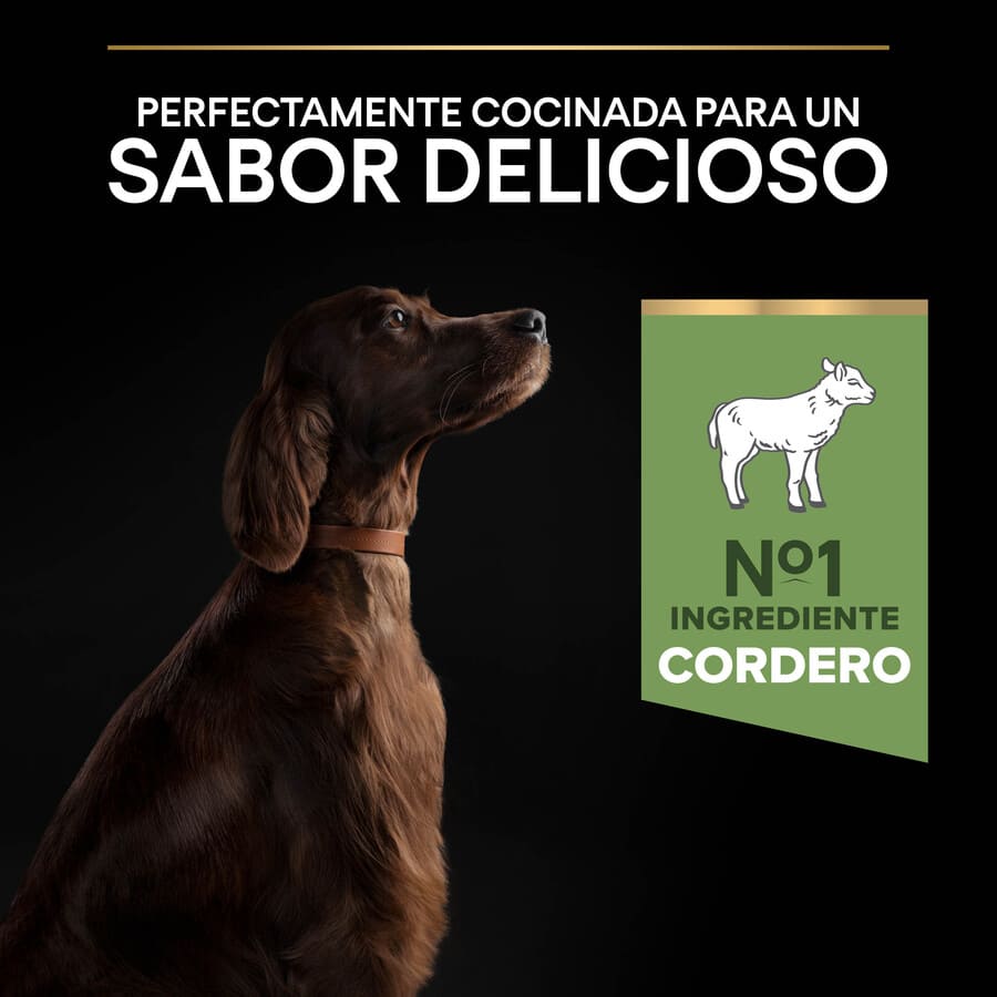 Pro Plan Adult Large Athletic Digestion Lamb Dog Food