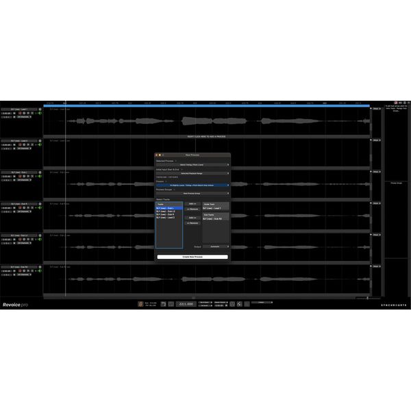 Synchro Arts Revoice Pro 5 Crossgrade