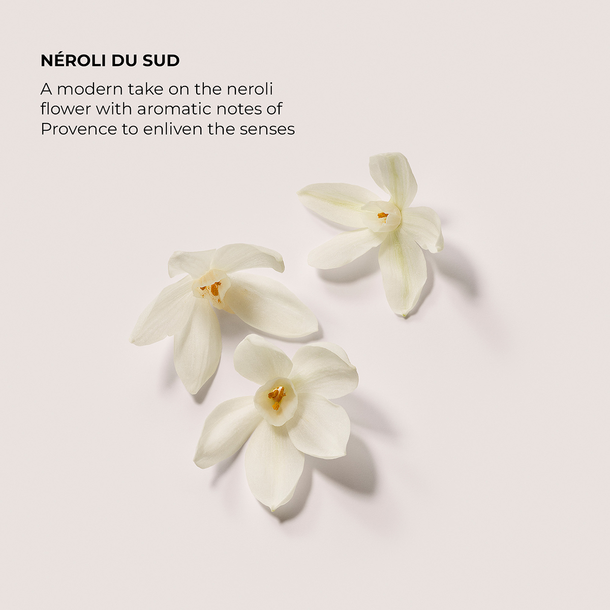 Néroli Du Sud Eau de Parfum 50ml