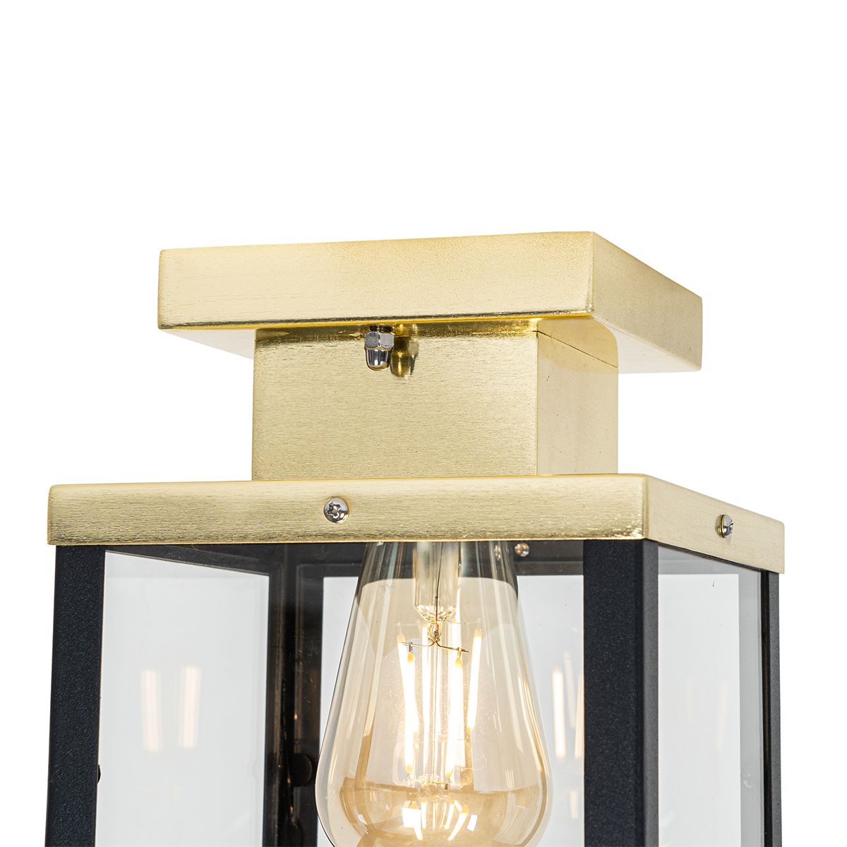 Industriële buiten plafondlamp zwart met goud - Rotterdam
