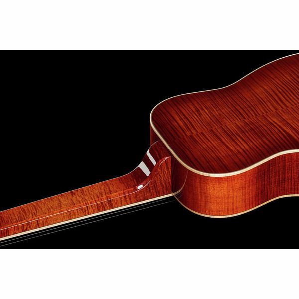 Beard Guitars E-Model SN ASB