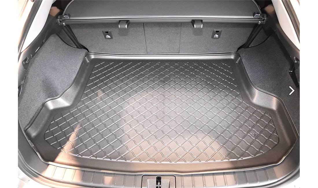 Bagagerumsbakke Lexus RX AL20 hybrid 19-22