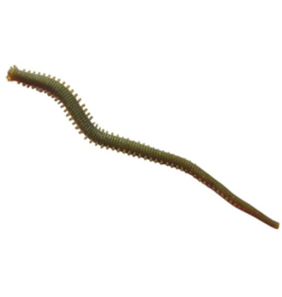 Berkley Gulp! Alive Saltwater Sandworm