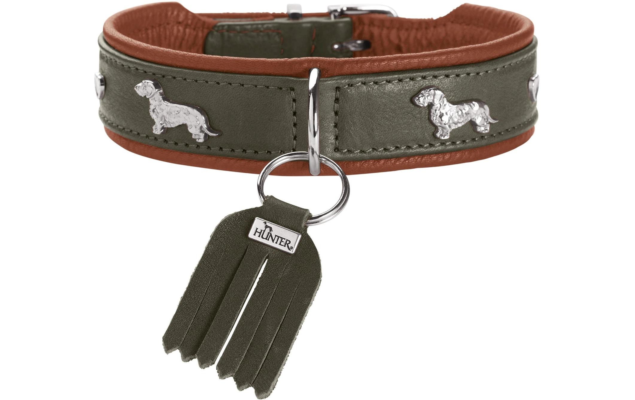 Teckel-Halsband München 32/XS, Rindsleder, Grün/CognacKlassisches Halsband für Hunde mit auffälligen Dackel-Besätzen