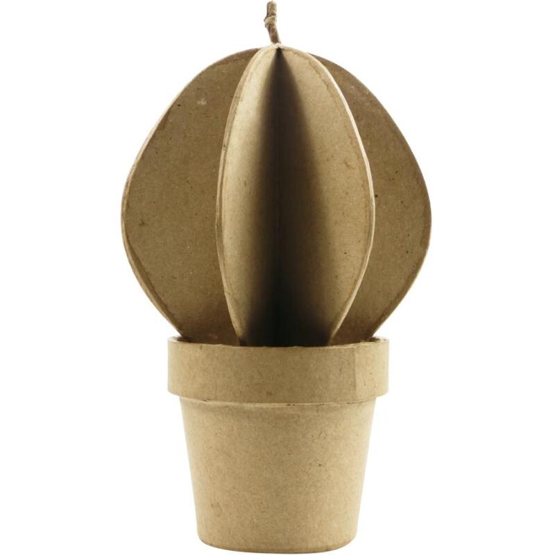 * Cactus boule - Kraft