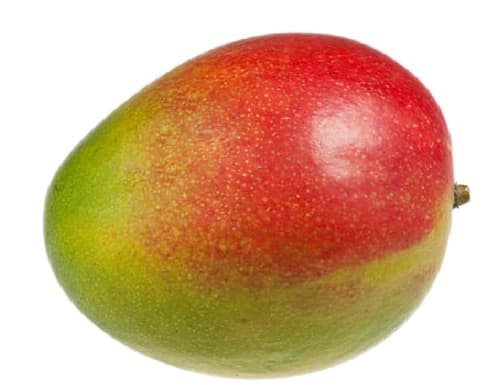 BIO Mango, 1 Stk.