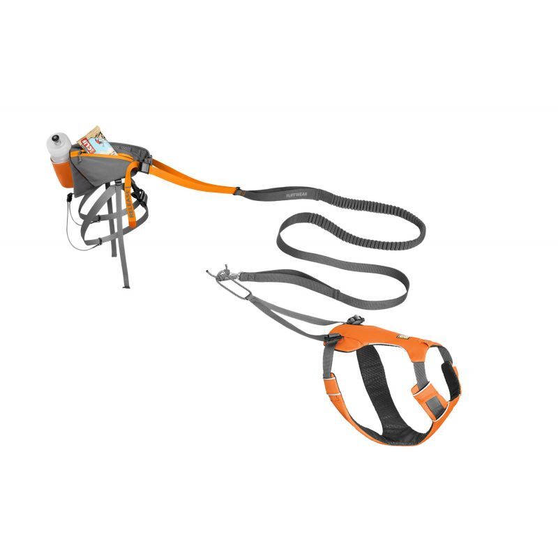 Omnijore Joring System - Harnais pour chien