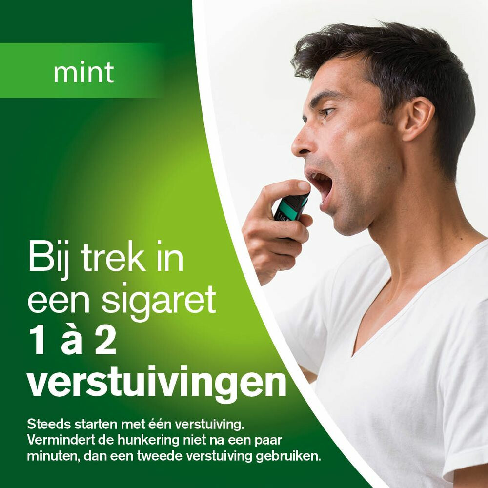 Nicorette Mondspray Mint Duo 1 mg2x13,2