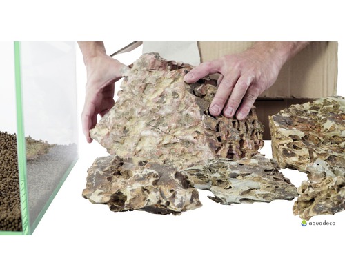Aquariumdecoratieset aquadeco drakensteen voor 100 cm aquarium