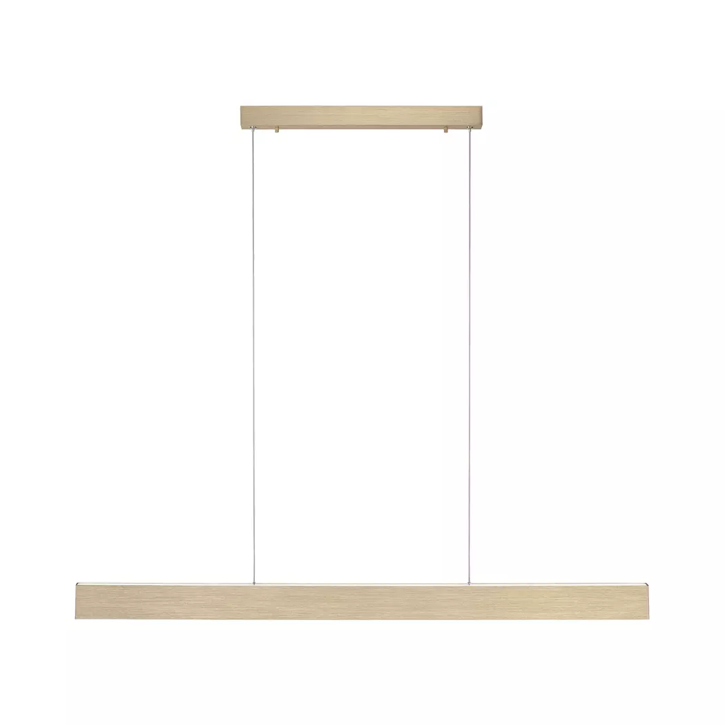 LED-Pendelleuchte Pure-Motion