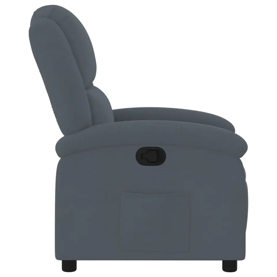 vidaXL - Fauteuil - Grijs - Fluweel