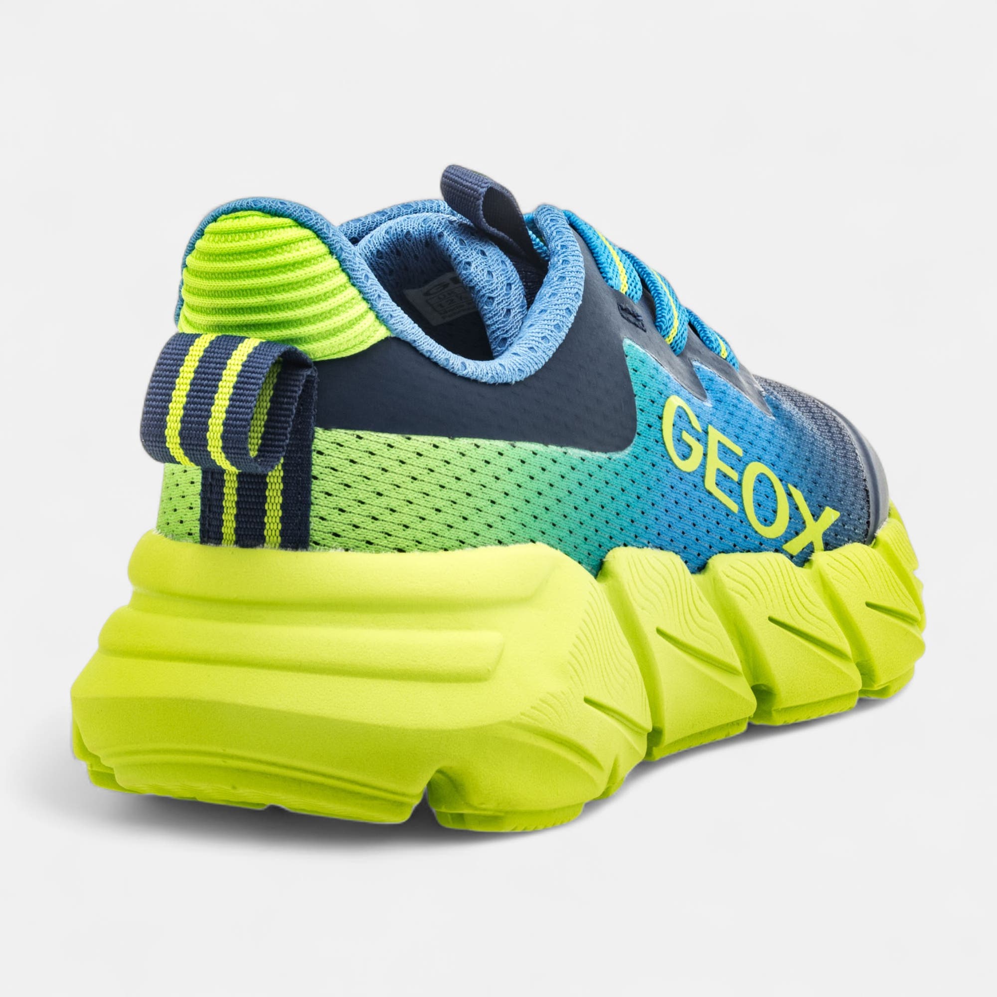 Sneakers Garçon bleu