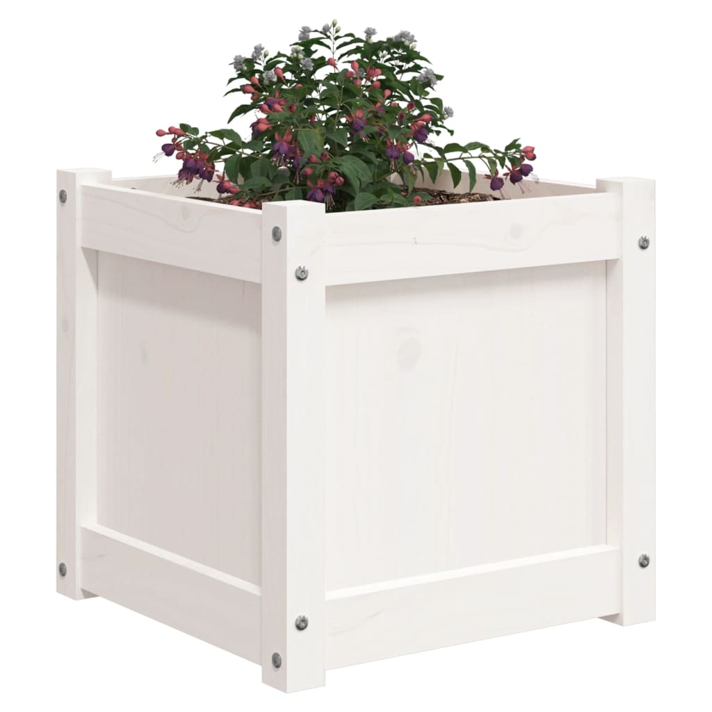 Jardinières 2 pcs blanc bois de pin massif