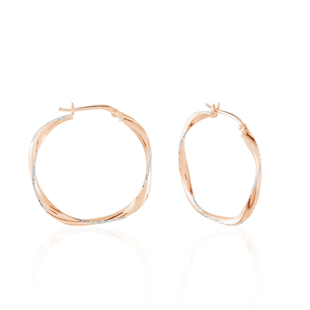 Créoles Argent Rose Alieno