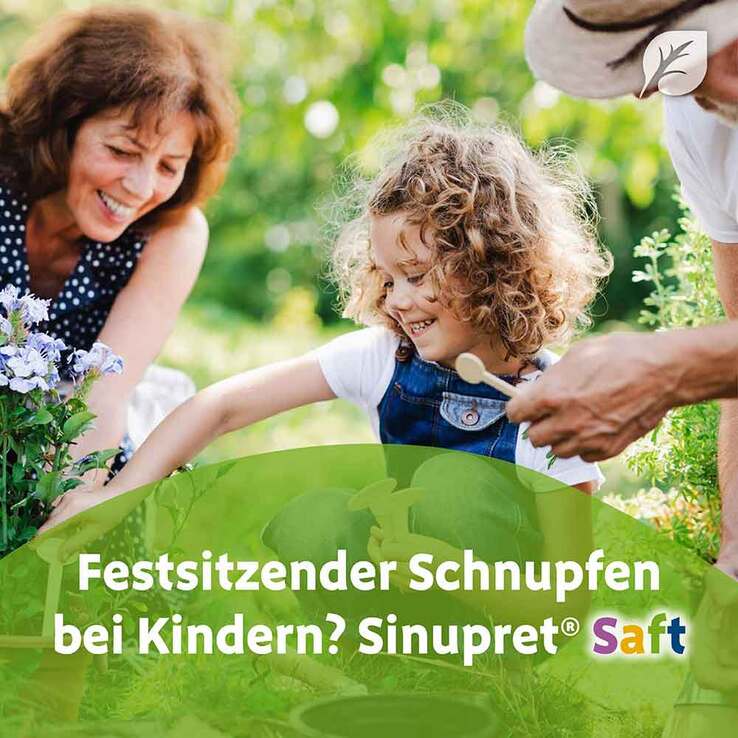 Sinupret Saft, 2x100 ml