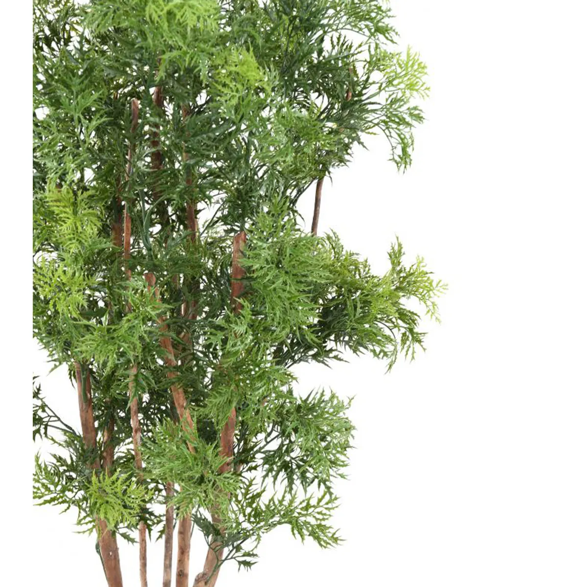 Pegane Aralia artificiel - H.165 cm - Vert