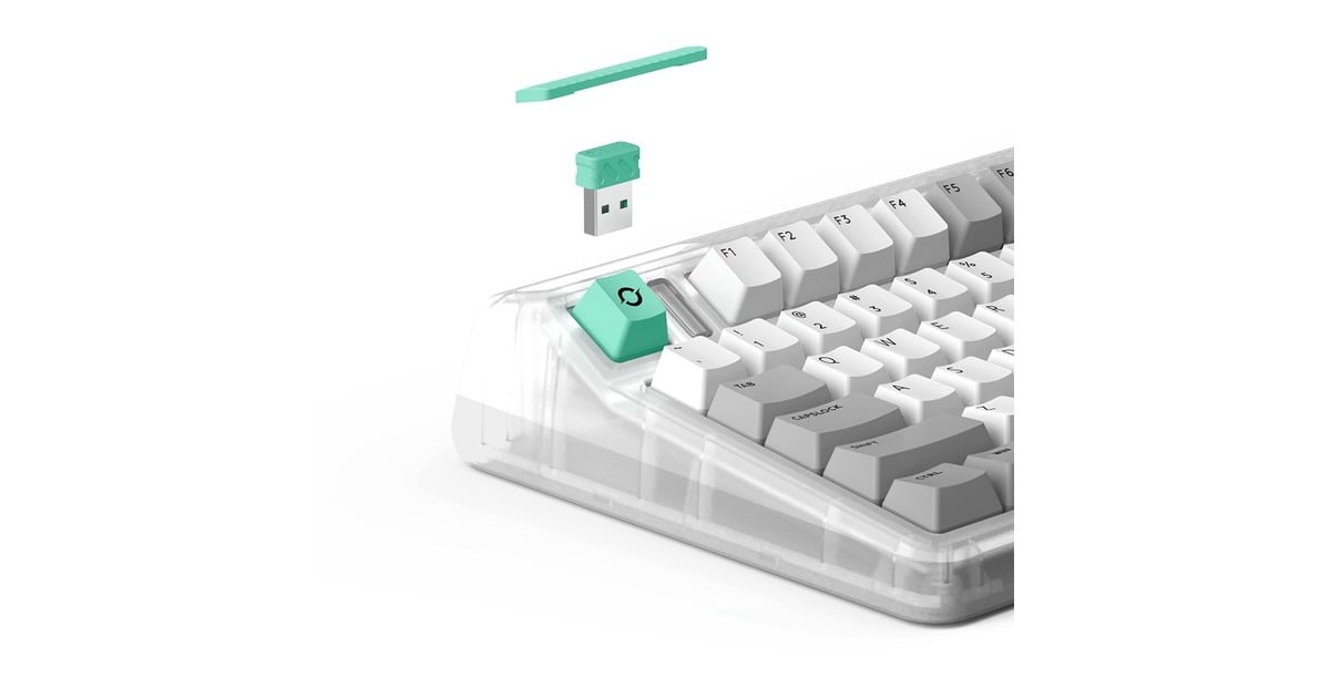 IqunixOG80 Wormhole Wireless Mechanical Keyboard, gaming toetsenbord  (Grijs/groen, US lay-out, IQUNIX Moonstone, RGB leds, 80% (TKL), Hot-swappable, PBT, 2.4GHz | Bluetooth 5.1 | USB-C)