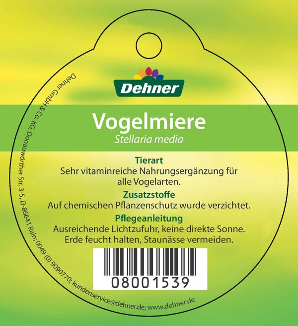 Dehner Lieblinge Vogelmiere - Stellaria media