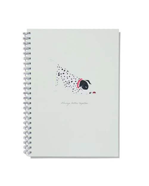 album avec spirale 32,5x23 vierge dalmatien