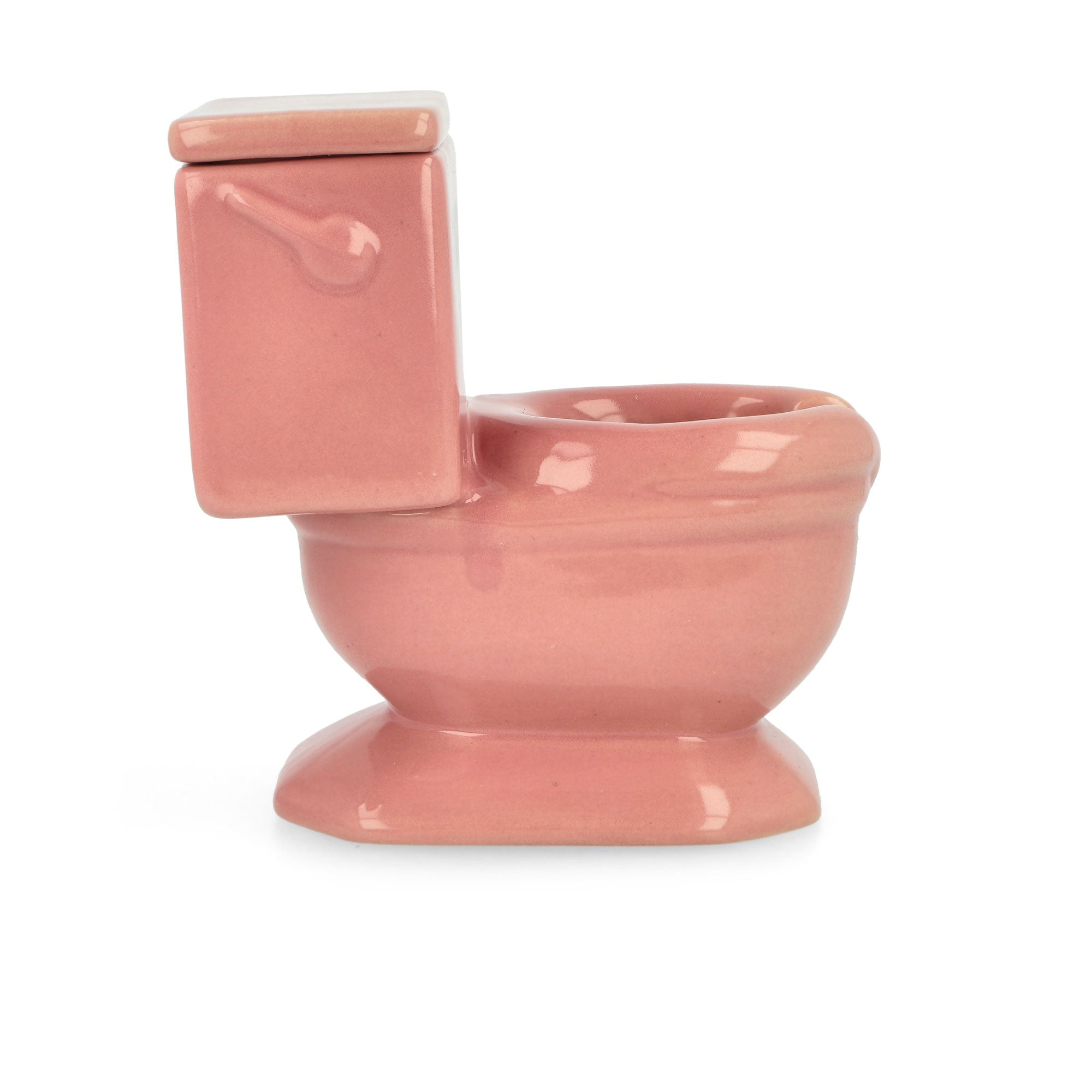 Pleasures<br>Toilet Ashtray
