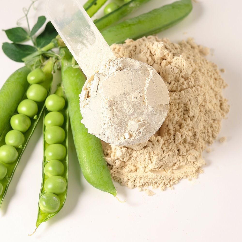 Dr. Jacob's Vegan Protein HIT Proteinpulver ohne Soja  + Kreatin + Enzyme
