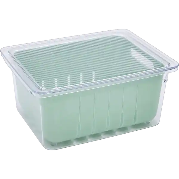 Kühlschrankbox mit Einsatz