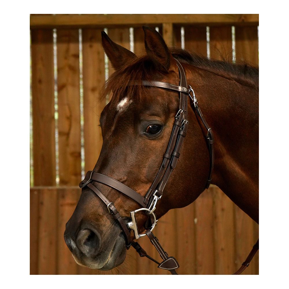 Dy'on WORKING - Bridon cuir plat avec mousqueton brun