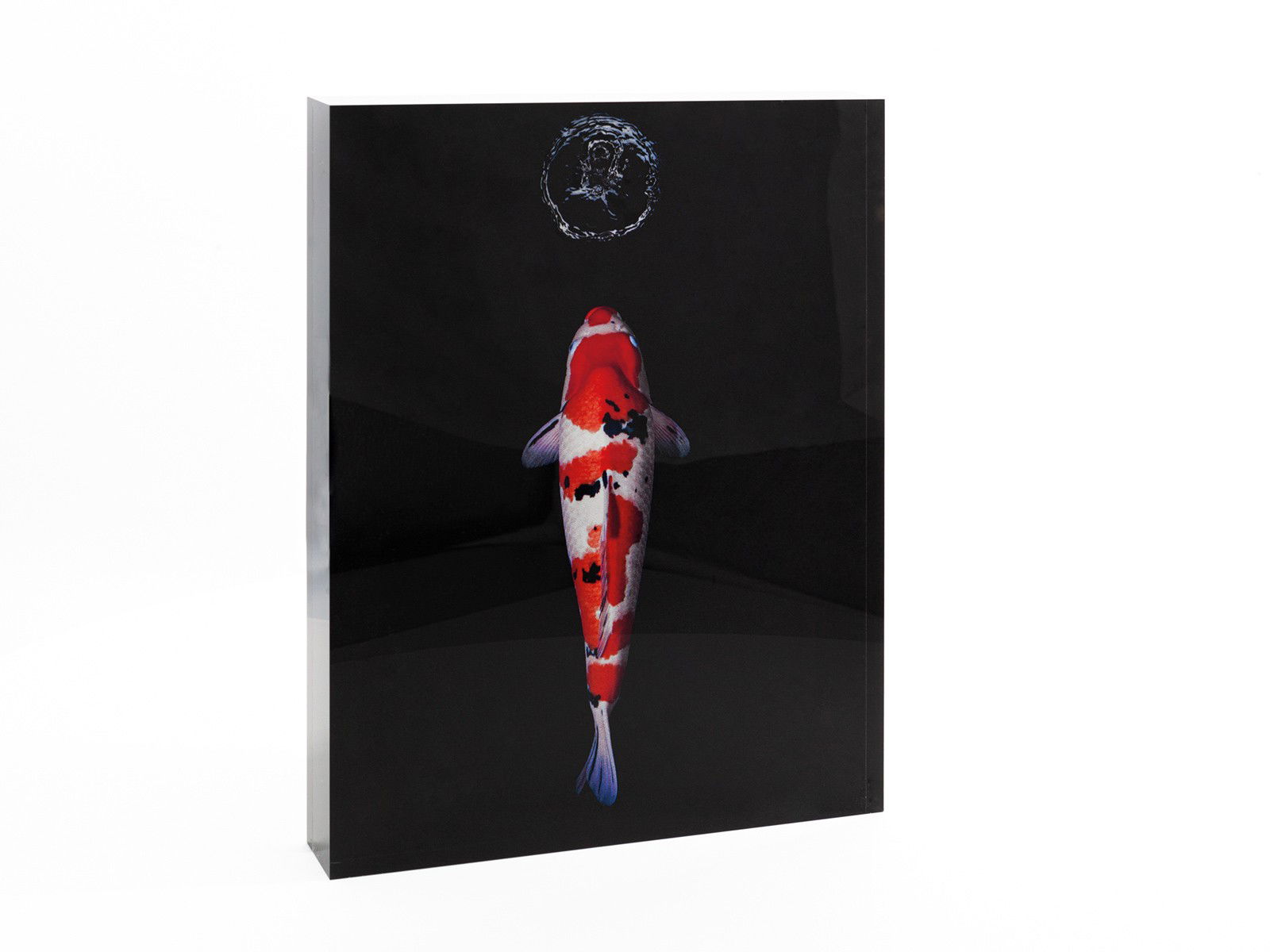 Sanke by Heiko Hellwig - Open Edition.