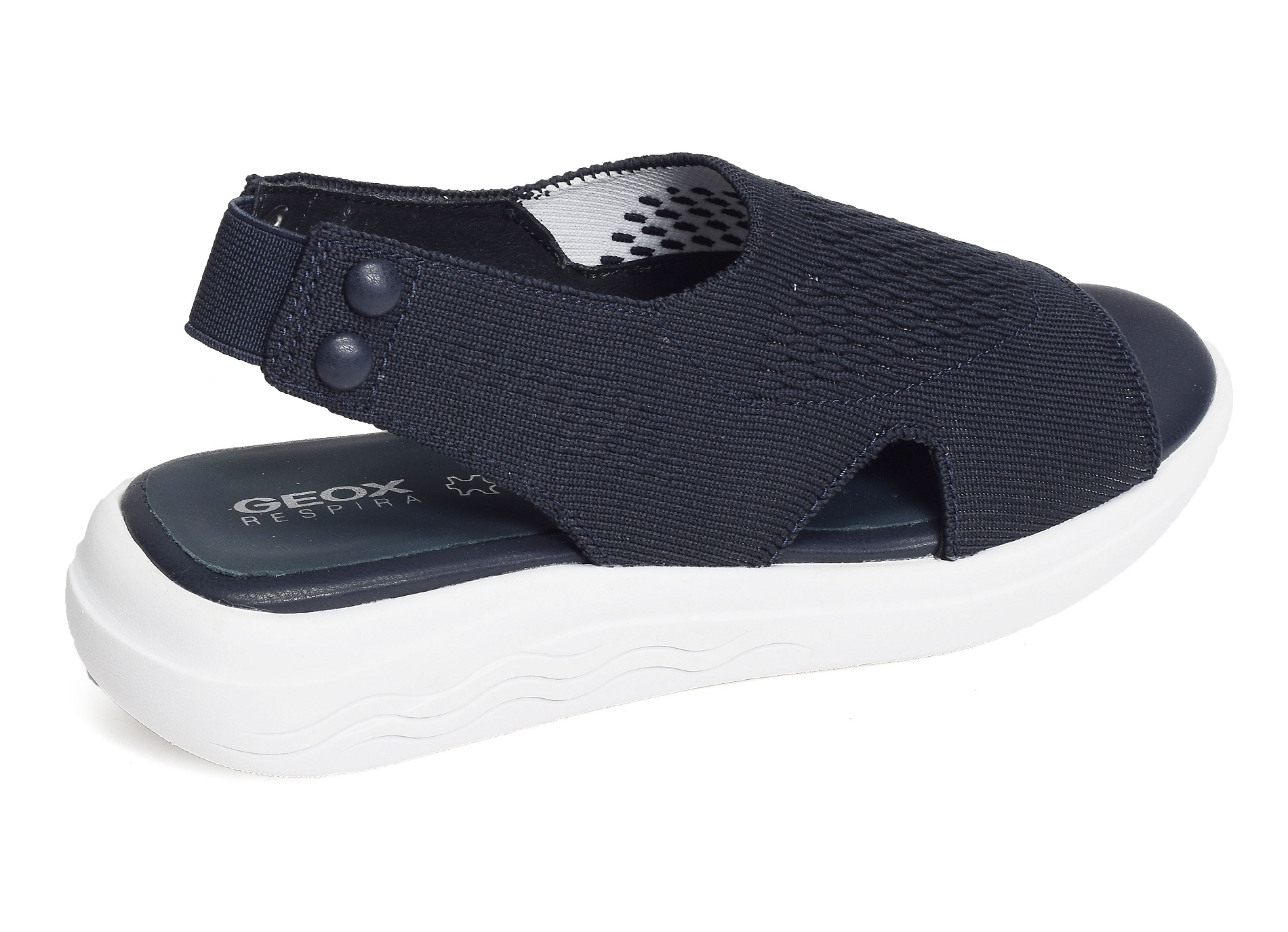 D spherica ec5 marine