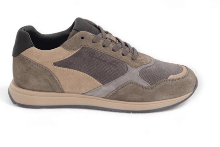 Cycleur de luxe P1 Chicory